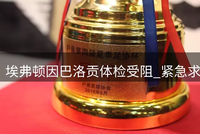 埃弗顿因巴洛贡体检受阻 紧急求购曼联锋线小将齐尔克泽