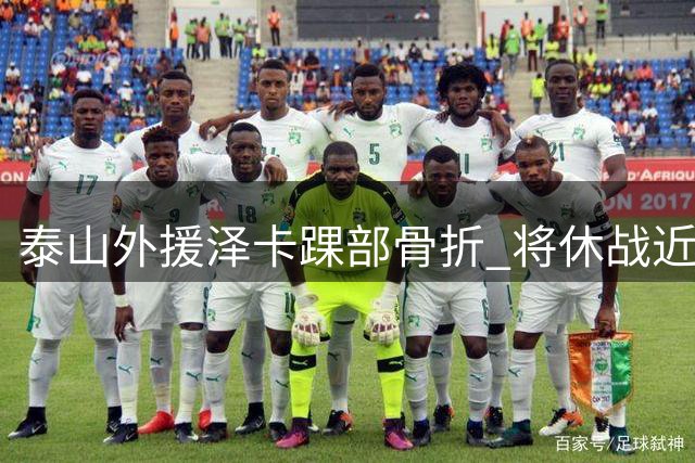 泰山外援泽卡踝部骨折 将休战近两个月